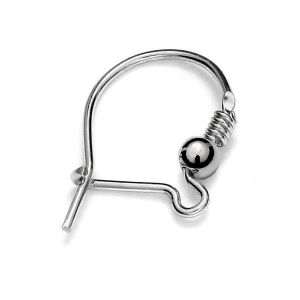 Silver ear wires - BZ 3